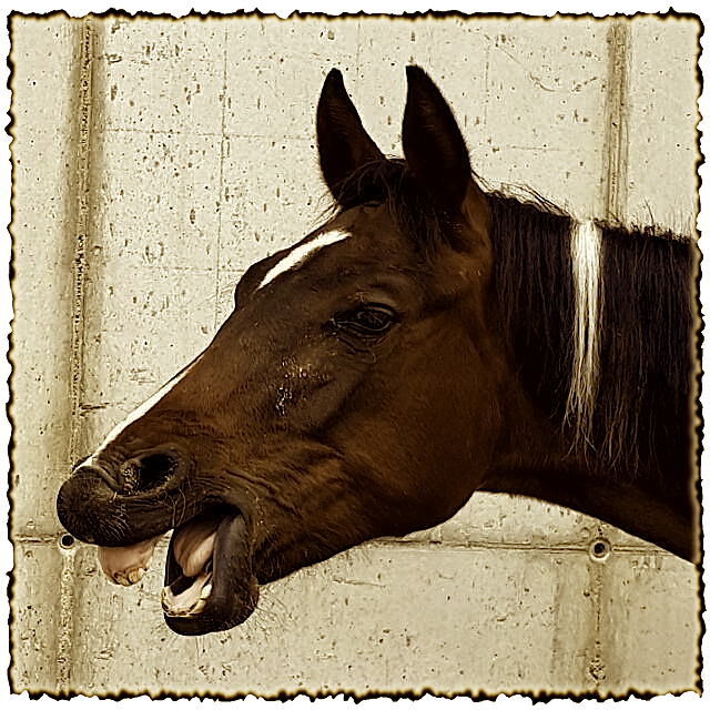 apache