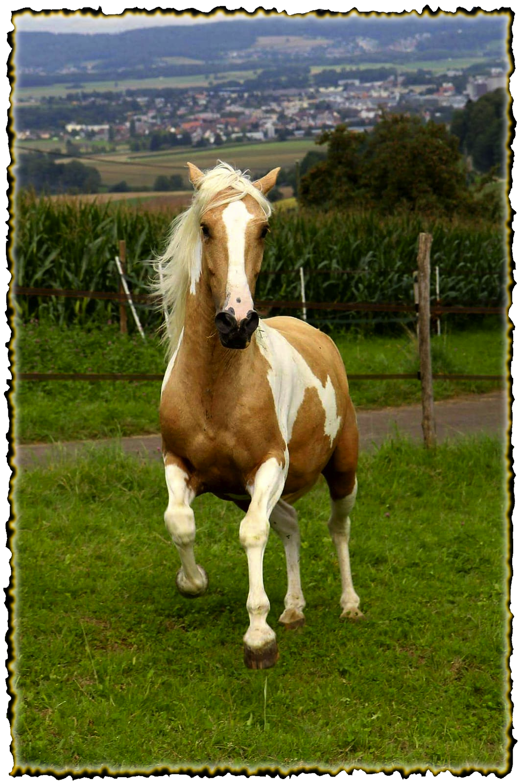 Country_Indiano